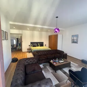 Magnificent Apartment, Center, Geneva